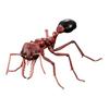Симуляция Насекомого Реалистичная Оса Муравьи-бульдоги Myrmecia Премиум Реалистичная Коллекционная Модель Для Энтузиастов Хобби