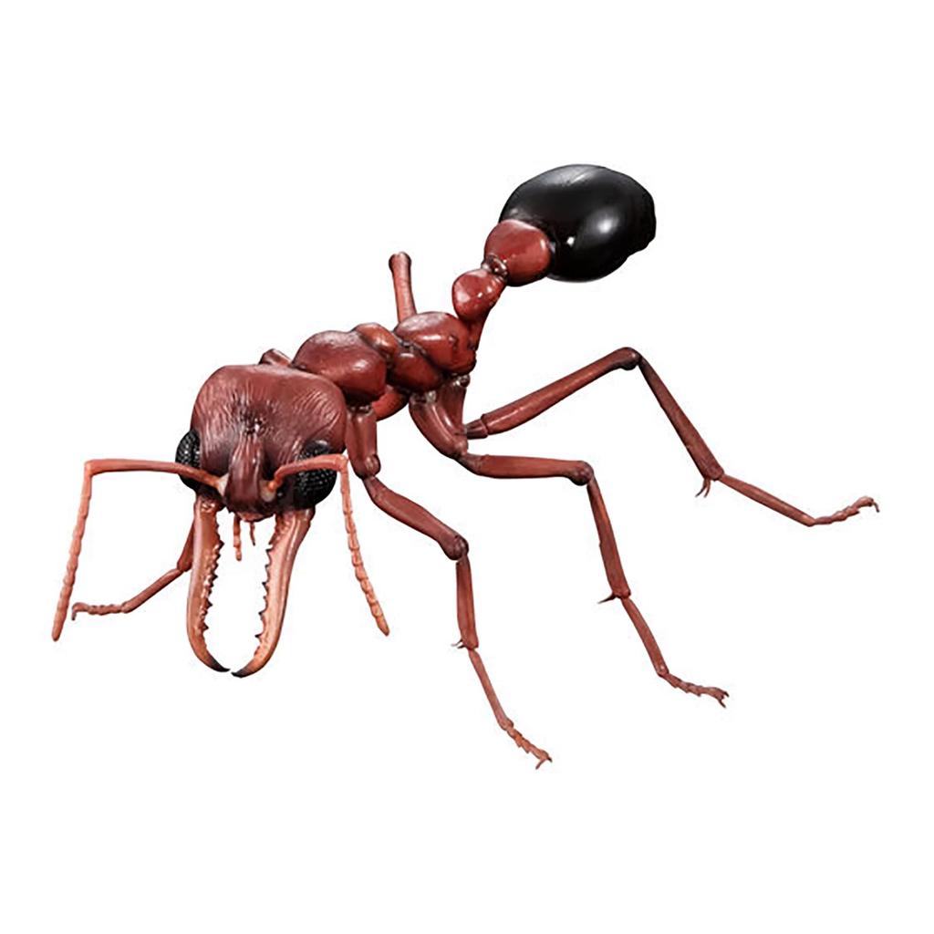 Симуляция Насекомого Реалистичная Оса Муравьи-бульдоги Myrmecia Премиум Реалистичная Коллекционная Модель Для Энтузиастов Хобби