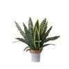 Zhi Xu Tiger Pothos Faux Greenery for Wedding Décor & Handicrafts - INS Style