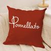 Fashion PPOMELLATO Cushion Cover Short plush Doublesided Print Square Throw Pillow Covers Sofa Home Cushion Decor