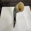 Home Real Viking Drinking Horn with Stand Ale Medieval Inspired Natural Finish Rustic Mythical Drink Vessel