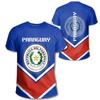 Paraguay Patriotic Polo Shirt, Casual Graphic Short Sleeve Top