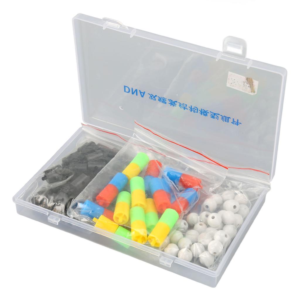 Модели структуры двойной спирали ДНК Образовательный комплект моделей двойной спирали ДНК Биологическая наука Популярный