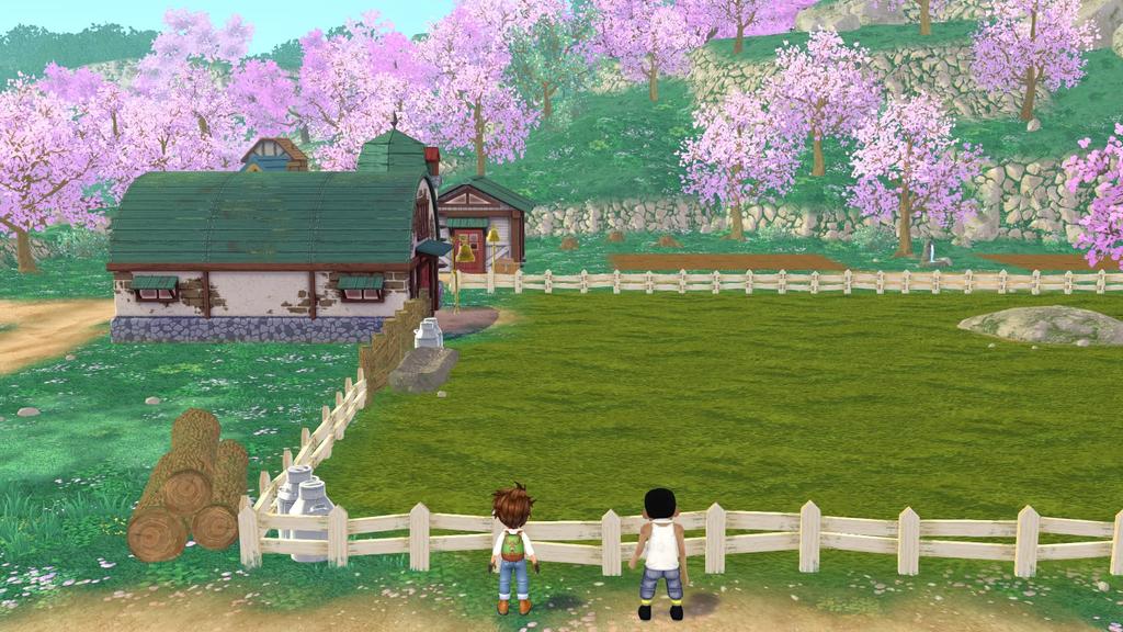 Код для скачивания Harvest Moon Wonderful Life не может быть получен или использован из-за истечения срока действия [Товары включены] Добро пожаловать! -Переключатель "Дождевик" Не может