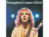 [SHM-CD] Frampton Comes Alive Nomal Edition Питер Фрэмптон UICY-25035, альбом 1976 года