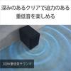 Sony Максимальная мощность сабвуфера 300 Вт SA-SW5