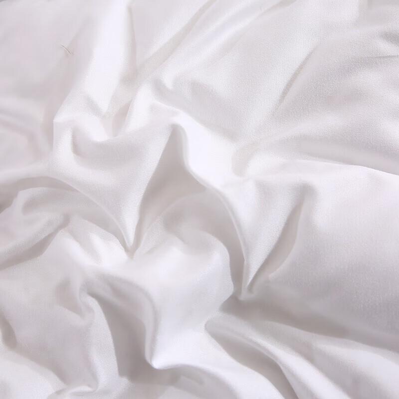 You Meng Jia Ju Ultra-Soft Embroidered Winter Quilt