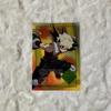 Nahia Clear Photo Sheet Collection Bakugo Katsuki Hiroaka Clear Card King Bull