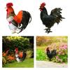 Simulation Model Artificial Feathered Chicken Ornament Farm Animal Statue PP Material Suitable for
