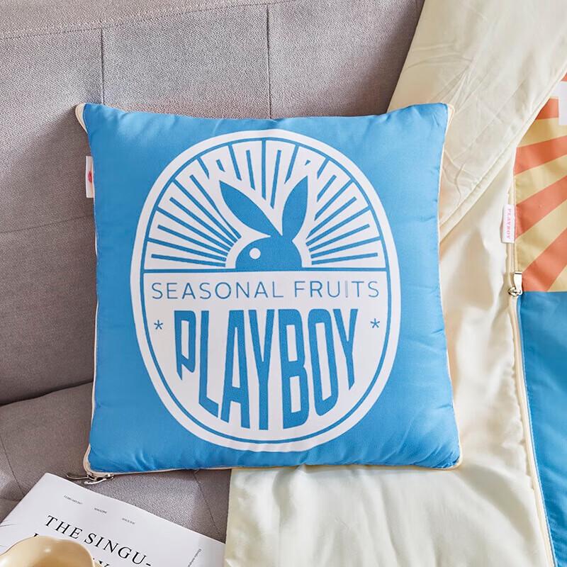 Playboy Pillow Quilt