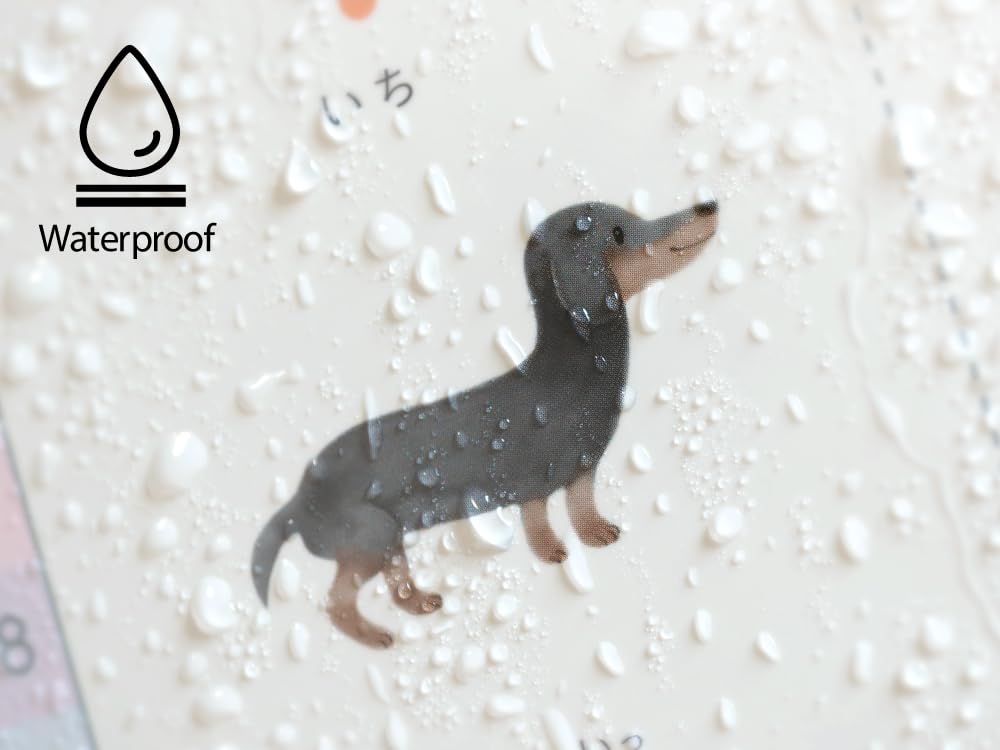 Sujihyo Rounded Waterproof Enchante's [Number Chart] A3, Corners,