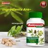Baidyanath Трайодашанг Гуггул 80 таблеток Аюрведическая добавка для поддержки суставов для здоровья костей и мышц