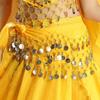 For Thailand/India/Arab Tassels Show Costumes Belly Dance Belt Dancer Skirt Waist Chain Hip Scarf