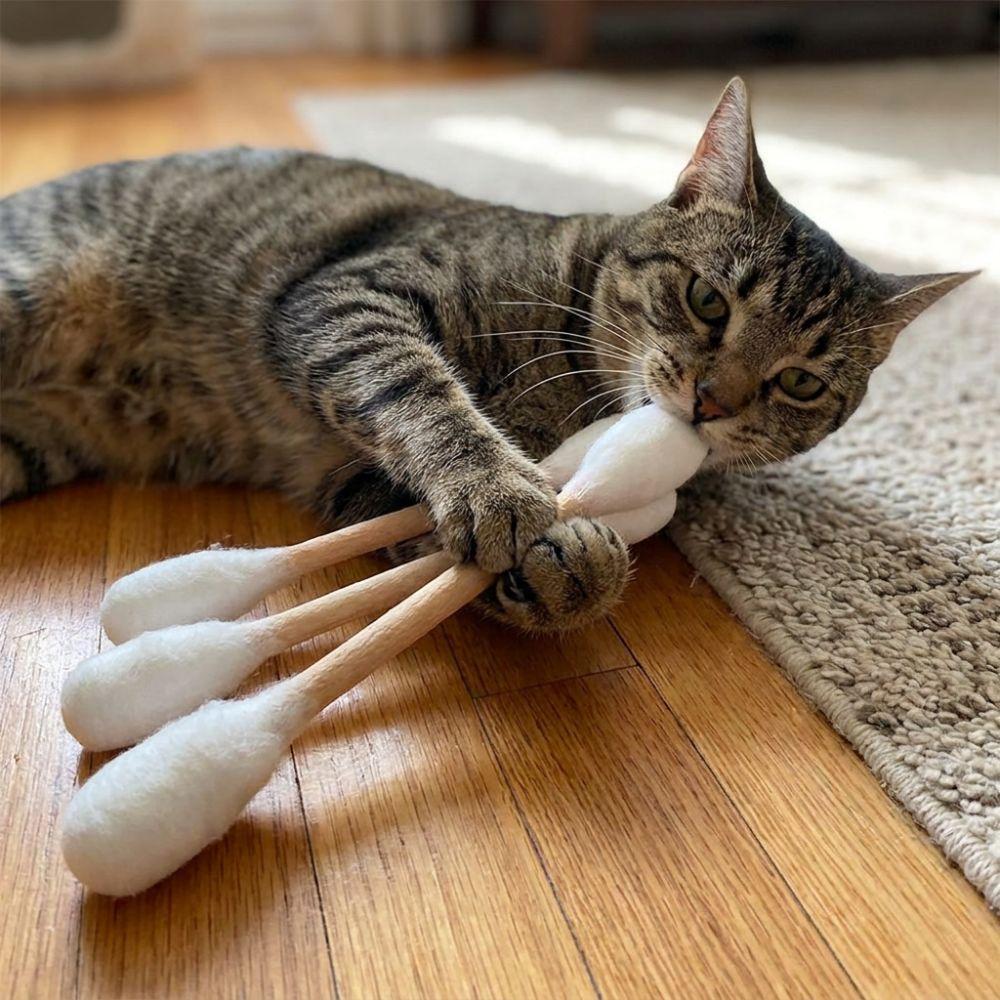 3PCS Bite Resistant Cotton Swab Cat Toy Soft Texture Cat Grinding Biting Stick Interactive Play