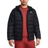 Under Armour Мужские пуховики и пальто Черные 1385837-001