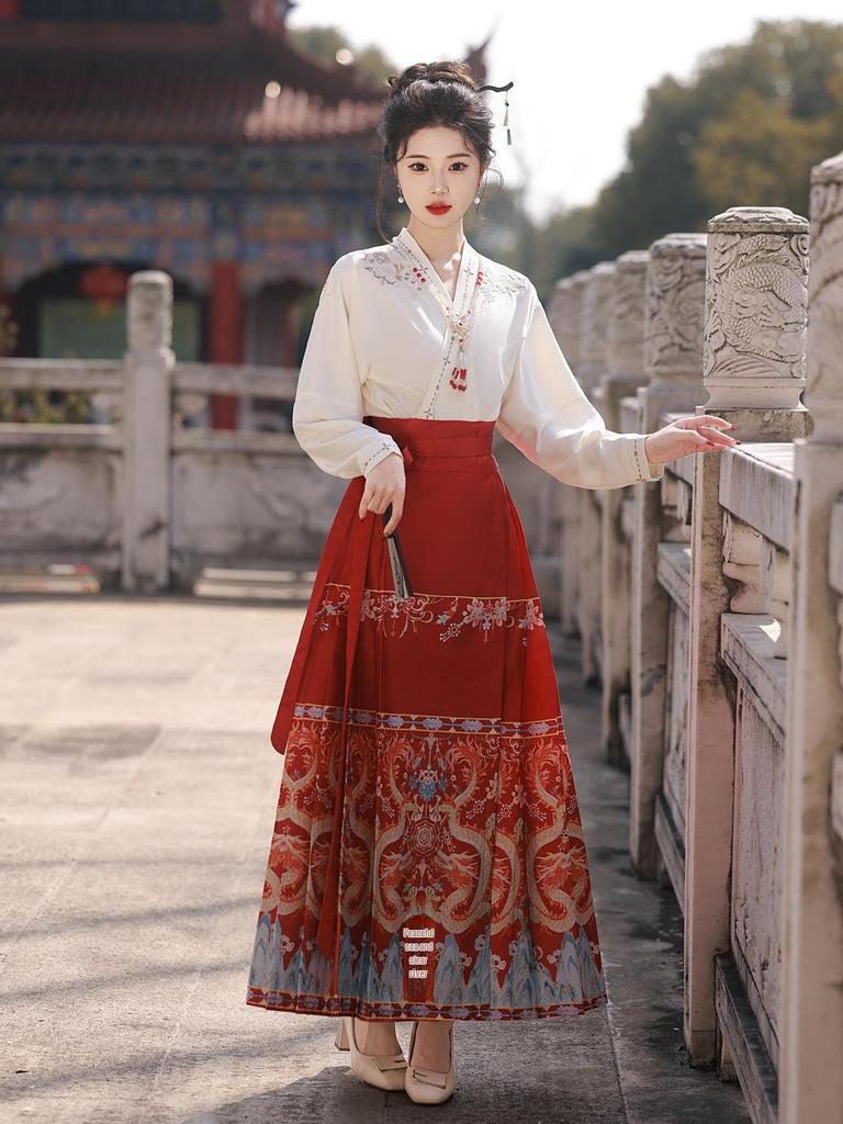 Ming Dynasty-inspired Embroidered Hanfu Skirt and Top Set