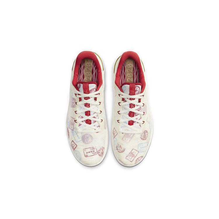 Nike Metcon 5 Amp Passport CJ0772-176