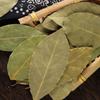 Shangfengling Bay Leaves, 50g