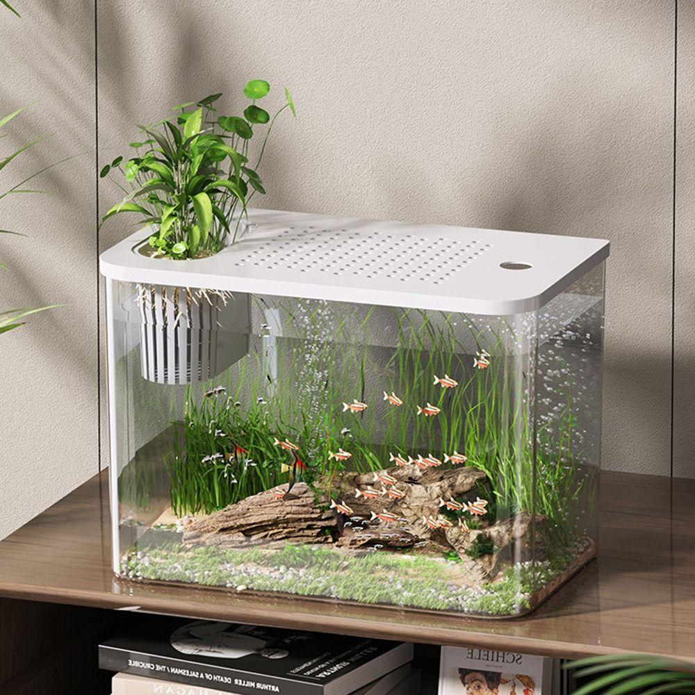 Transparent Desktop Aquarium with Lid Turtle Tank Durable Ecological Water Tank for Home