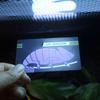 Reptile UVB Light Lamp Bulb Test Card UV Tests Paper Reptiles Terrarium Lamp Life Effective Tester Meter