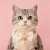Pet pearl necklace, cat and dog collar, small, elegant bowknot style, vintage, luxurious, camellia flower, rhinestone embellishments