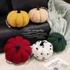 Plush Pumpkin Throw Pillow for Living Room & Indoor Decor