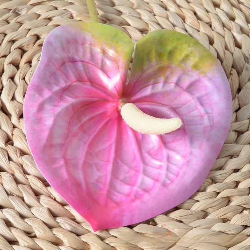 Anthurium Linden Andraeanum Flower For Home Decor And Props Photography
