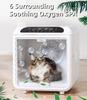 USMILEPET Wholesale Automatic Pet Dryer Box Smart Temperature Control and 360 Drying Ultra Quiet Dog Dryer Box for Pets Grooming