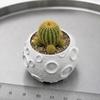 Подарок на день рождения для любителей растений 3D-печатный лунный горшок для суккулентов, Креативный горшок с поверхностью Луны, Маленький зеленый горшок, Декор для рабочего стола, Минималистичный