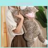 Милая плюшевая игрушка кошка с висячими ушками, мягкий ПП хлопок, детская подушка для комфорта, мягкая игрушка