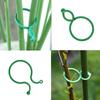 50Pcs 8 Word Buckle Vine Tying Clips Ring Fixing Bracket Garden Plant Holder Tools Garden Decorations Plant Climbing Wall Clips
