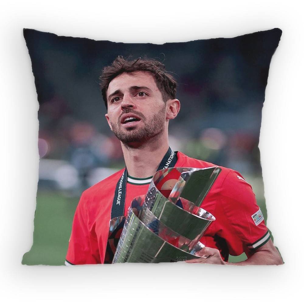 BBernardo SSilva MidCourt Pillow Case Antidustmite Pillowcase Invisible zipper silky short plush Sofa cushion cover