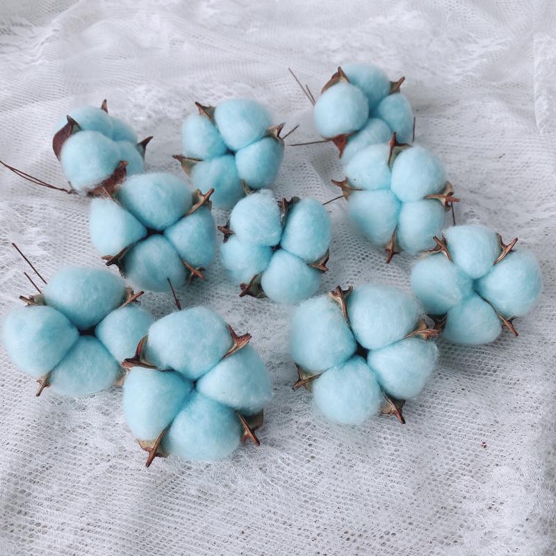Natural Dried Pine Cones for Christmas Tree Decoration, Photography Props, Floral Wreaths, and Bouquets.