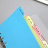 Yousheng 5 шт. цветных разделителей для папок-регистраторов с кольцевыми вкладками, пластиковые страницы-разделители для индексов, папка-регистратор с 6 кольцами, разделители для пастельных страниц, этикетки с надписями
