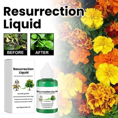 Resurrection Liquid Усилитель роста растений Стимулятор роста сочных корней Удобрение для комнатных растений Питательный раствор