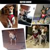 Breathable Chihuahua Pug Bulldog Cat Dog Leash Collar Puppy Vest Pet Harness