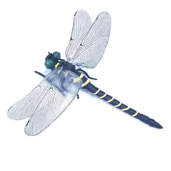 Fake Dragonfly Decoration with Lanyard/Pin Portable Outdoor Camping Gnats Fly Repellent Simulated 3D Dragonfly Model Ornament Kids Educational Toy