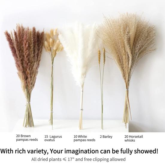 Красивая сухая тростниковая трава, не засохшая, изысканное декоративное мастерство