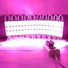 60 светодиодов 220В Яркий светодиодный модуль Водонепроницаемая Складная COB светодиодная лента Подсветка Баннер для магазина Светящийся символ Наружное украшение