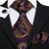 Hi-Tie Fashion Mens Wine-Red Paisley Necktie Hanky Cufflinks for Business Wedding