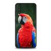 Чехол для телефона попугай для Samsung Galaxy A56 A36 A26 A34 A17 A16 A06 A14 A12 A54 A72 A70 A30 A24 A22 A20e A52 A50 A40 A32