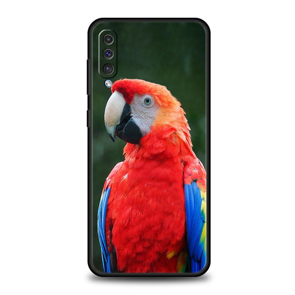 Чехол для телефона попугай для Samsung Galaxy A56 A36 A26 A34 A17 A16 A06 A14 A12 A54 A72 A70 A30 A24 A22 A20e A52 A50 A40 A32