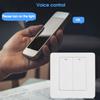2-позиционная настенная панель переключателей с поддержкой Alexa / Google Voice Control для Tuya ZigBee