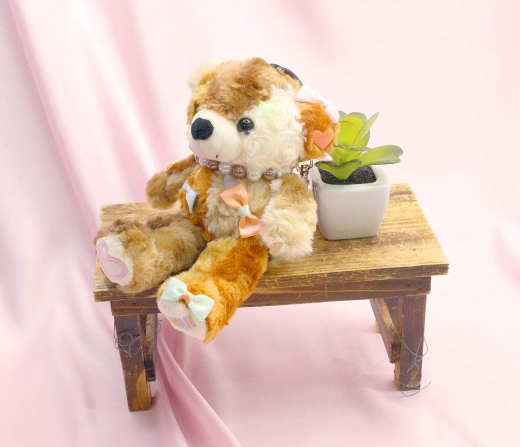 KAWAII Bear Chocolate Small