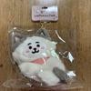[USED] BT21 CAT DAY Plush Mascot RJ