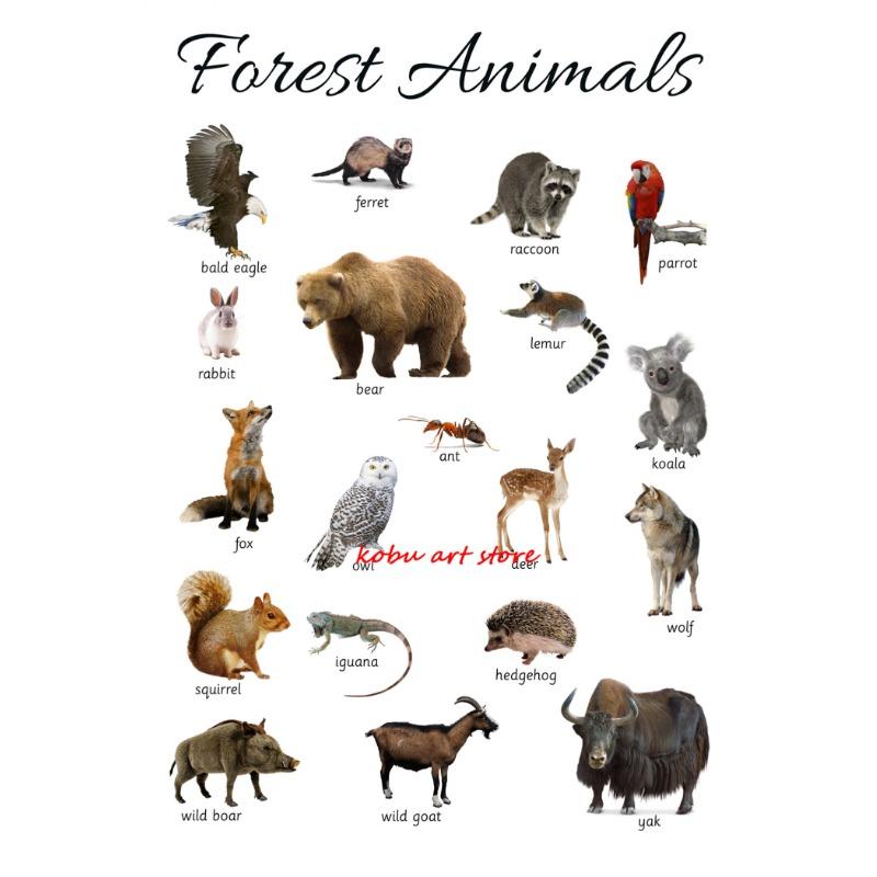 Домашние животные Морские животные Лошадь Образовательный обучающий плакат Принт Холст Живопись Настенное искусство Картина для Детской комнаты Декор