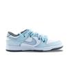Nike Кроссовки Dunk Summer Blue Bell Нескользящие Устойчивые к истиранию Низкие Скейтбордические Унисекс Сине-зеленые DV0833-111(Команда626-)
