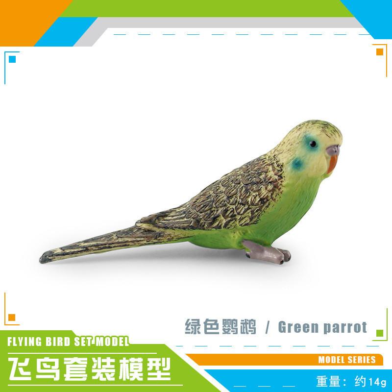 Colorful Lifelike And Pvc Bird Models Set Featuring Parrots Owls And Exotic Birds Ideal For Decor Home