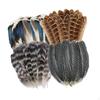 Crafts Feathers Artificial Feather Decorative Art Supplies Ornament Colorful Handicraft