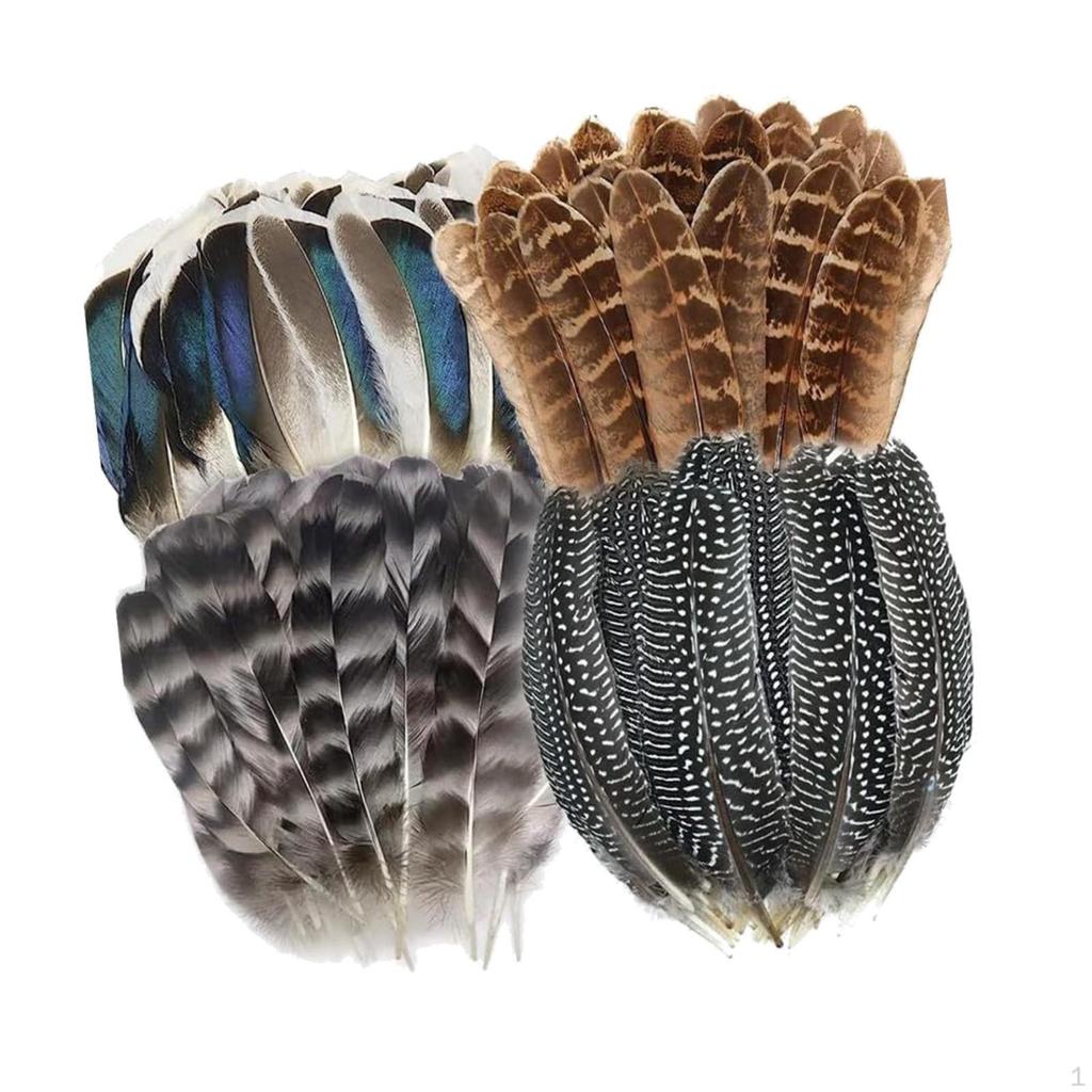 Crafts Feathers Artificial Feather Decorative Art Supplies Ornament Colorful Handicraft